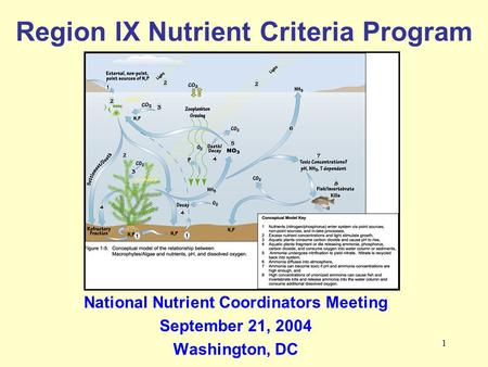 1 Region IX Nutrient Criteria Program National Nutrient Coordinators Meeting September 21, 2004 Washington, DC.