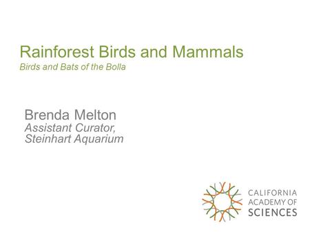 Rainforest Birds and Mammals Birds and Bats of the Bolla Brenda Melton Assistant Curator, Steinhart Aquarium.