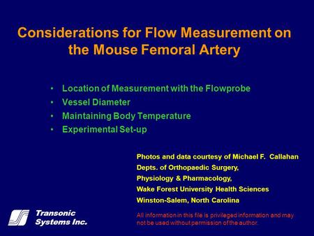 Considerations for Flow Measurement on the Mouse Femoral Artery