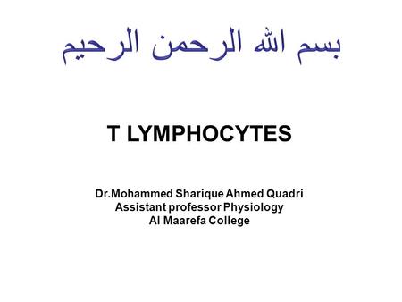 Dr.Mohammed Sharique Ahmed Quadri Assistant professor Physiology