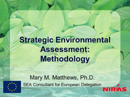 Strategic Environmental Assessment: Methodology Mary M. Matthews, Ph.D. SEA Consultant for European Delegation.