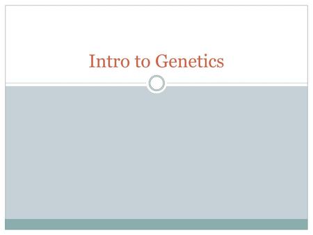 Intro to Genetics.