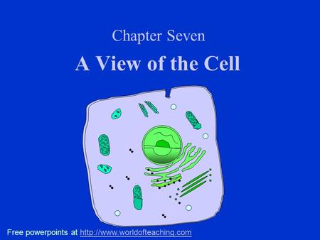 A View of the Cell Chapter Seven