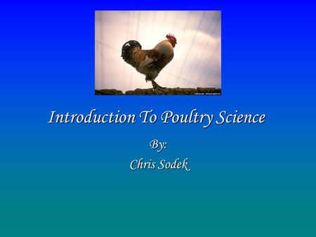 Introduction To Poultry Science By: Chris Sodek. The Student will be able to… Locate and describe the potential employment opportunities in major poultry.