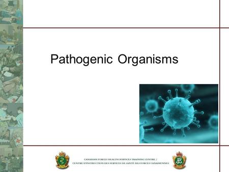 Pathogenic Organisms. References Guidelines for Canadian Recreational Water Quality by Health & Welfare Canada 1992.