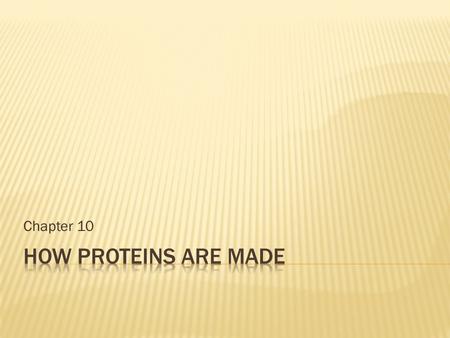 Chapter 10 How proteins are made.