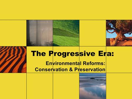 Environmental Reforms: Conservation & Preservation
