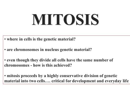 MITOSIS where in cells is the genetic material?
