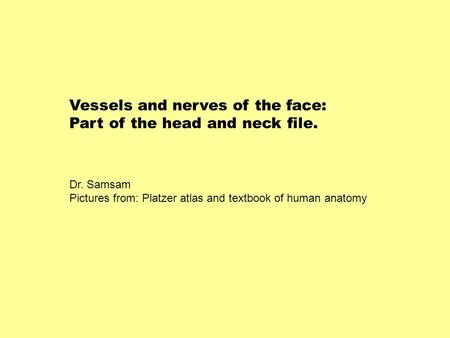 Vessels and nerves of the face: Part of the head and neck file.