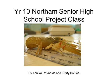 Yr 10 Northam Senior High School Project Class By Tanika Reynolds and Kirsty Soulos.