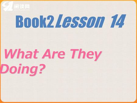 Book2 Lesson 14 What Are They Doing? What Are They Doing?