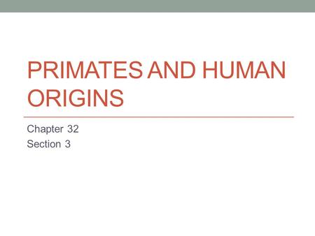 Primates and Human Origins