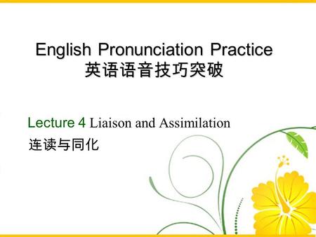 English Pronunciation Practice 英语语音技巧突破