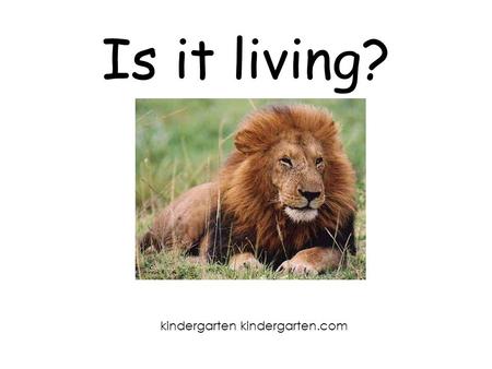 Is it living? kindergarten kindergarten.com.