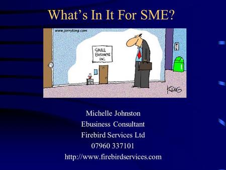 Whats In It For SME? Michelle Johnston Ebusiness Consultant Firebird Services Ltd 07960 337101