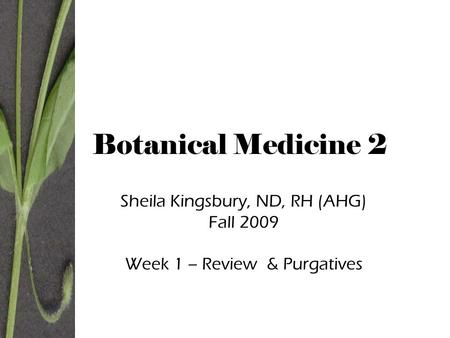 Botanical Medicine 2 Sheila Kingsbury, ND, RH (AHG) Fall 2009 Week 1 – Review & Purgatives.