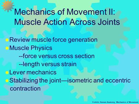 Mechanics of Movement II: Muscle Action Across Joints