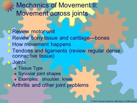 Frolich, Human Anatomy, Mechanics of Movement