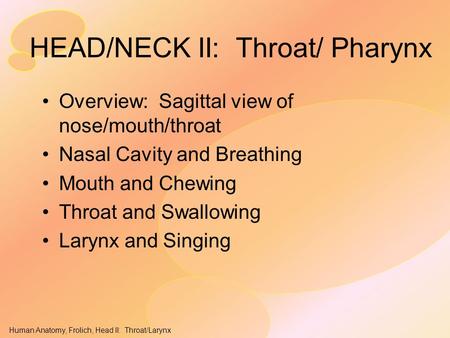 HEAD/NECK II: Throat/ Pharynx