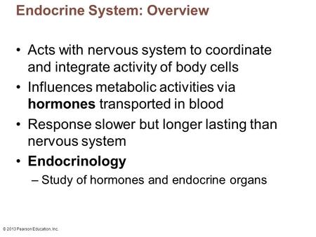 Endocrine System: Overview