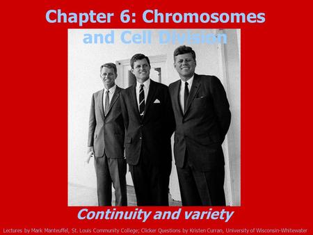 Chapter 6: Chromosomes and Cell Division