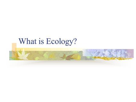 What is Ecology?.