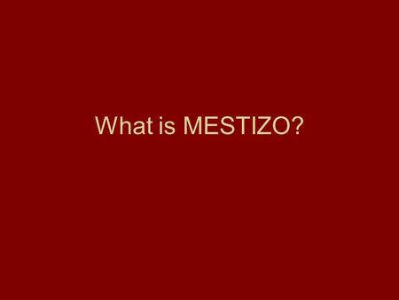What is MESTIZO?.