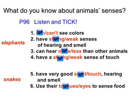 What do you know about animals’ senses?