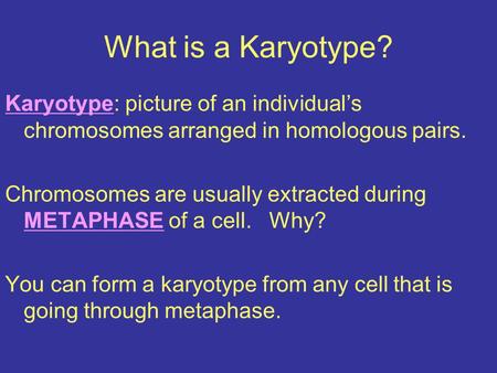 What is a Karyotype? Karyotype: picture of an individual’s chromosomes arranged in homologous pairs. Chromosomes are usually extracted during METAPHASE.