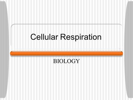 Cellular Respiration BIOLOGY.