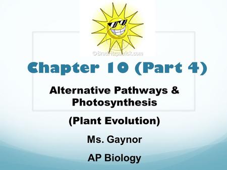 Alternative Pathways & Photosynthesis