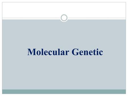 Molecular Genetic.