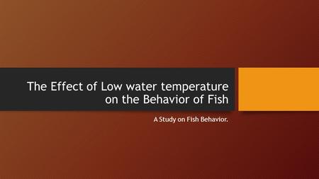 The Effect of Low water temperature on the Behavior of Fish A Study on Fish Behavior.