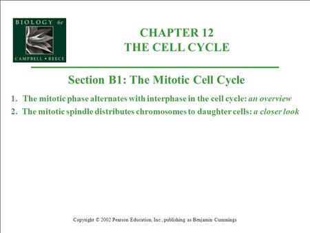Section B1: The Mitotic Cell Cycle