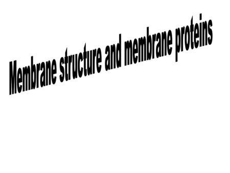 Membrane structure and membrane proteins