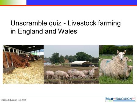 Meatandeducation.com 2012 Unscramble quiz - Livestock farming in England and Wales.