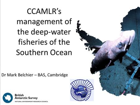 CCAMLR’s management of the deep-water fisheries of the Southern Ocean