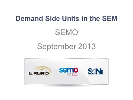 Demand Side Units in the SEM
