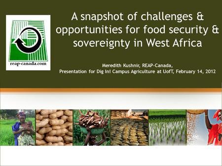 Linking A snapshot of challenges & opportunities for food security & sovereignty in West Africa Meredith Kushnir, REAP-Canada, Presentation for Dig In!