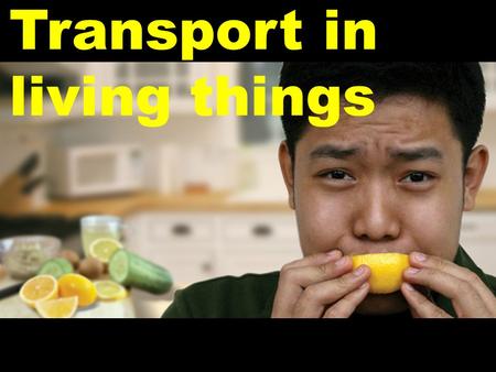 Transport in living things