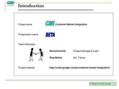 Introduction CMI CMI BETA Project name Customer Master Integration