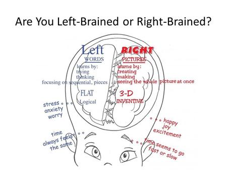 Are You Left-Brained or Right-Brained?