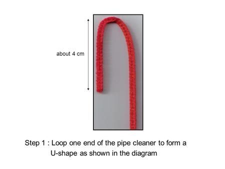 Step 1 : Loop one end of the pipe cleaner to form a U-shape as shown in the diagram about 4 cm.