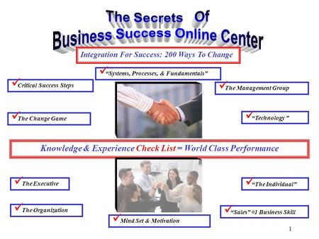 1 The Individual Knowledge & Experience Check List = World Class Performance Critical Success Steps The Executive Systems, Processes, & Fundamentals The.