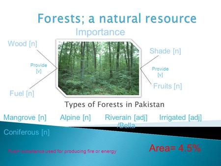 Forests; a natural resource