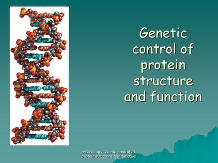 Genetic control of protein structure and function