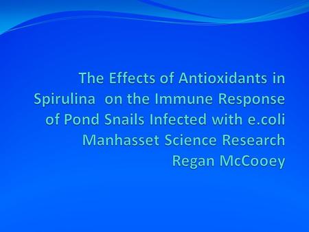The Effects of Antioxidants in Spirulina on the Immune Response of Pond Snails Infected with e.coli Manhasset Science Research Regan McCooey.