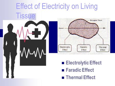 Effect of Electricity on Living Tissue