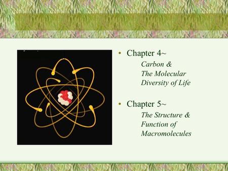 Chapter 4~		Carbon &   		The Molecular 	Diversity of Life