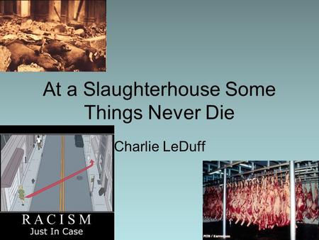 At a Slaughterhouse Some Things Never Die